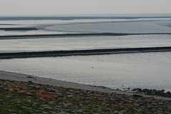 Wattenmeer Sandwatt Schlickwatt Nordsee